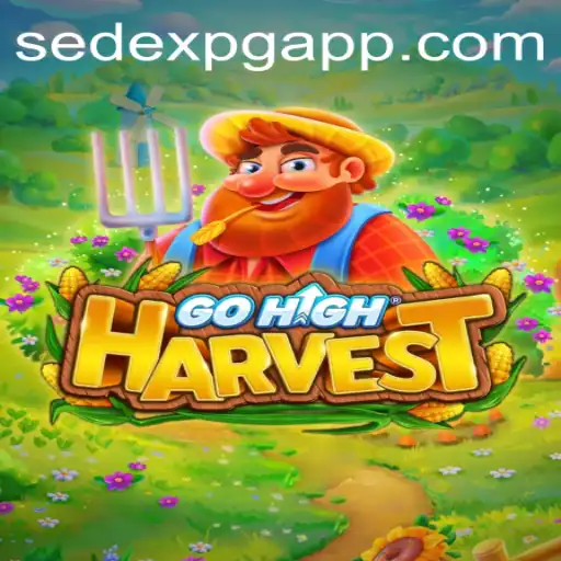 SedexPG.com Casino App