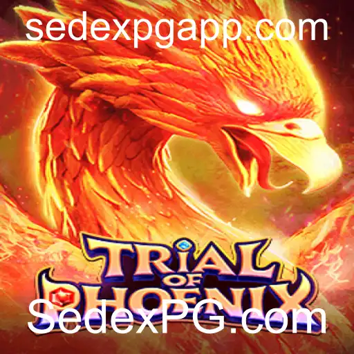 SedexPG.com Exclusivo